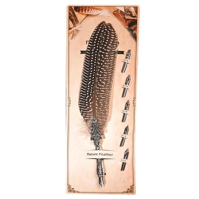 JSGHGDF Stylo Plume Antique Avec 8 Pointes Remplaçables Pour
