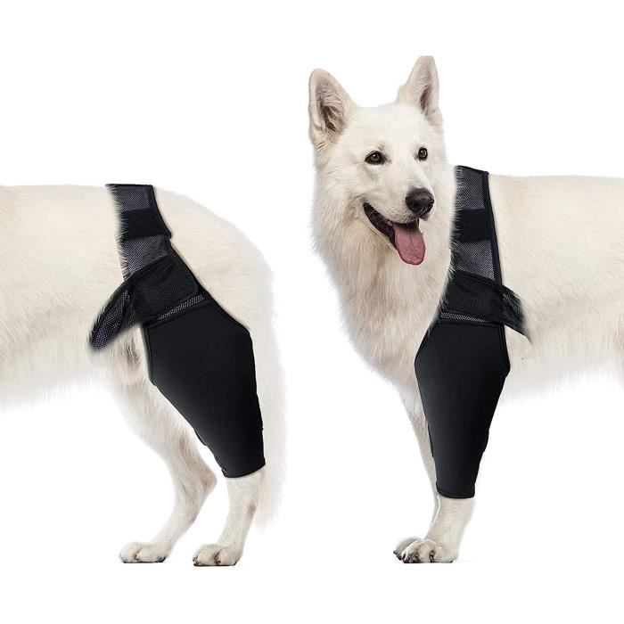Meilleurs prix pour Genouillère pour Chien, Genouillères Réglables pour Animaux, Protège-coude pour Chien pour Callosités du Coude, Plaies de Pression
