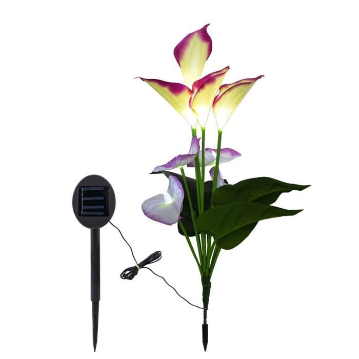 8 Led Energie Solaire Energie Commune Callalily Fleur Design