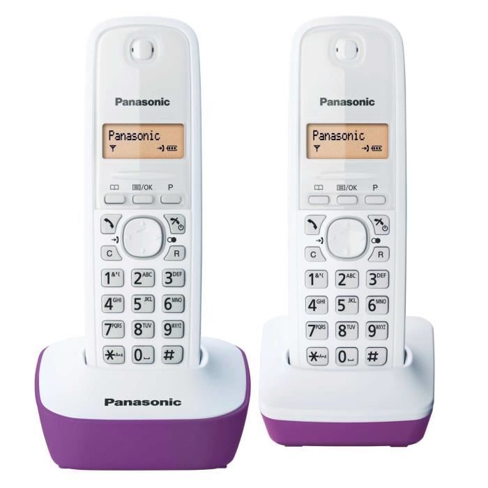 Panasonic KX-TG1612FRH Duo Téléphone Sans Fil Sans Répondeur Noir