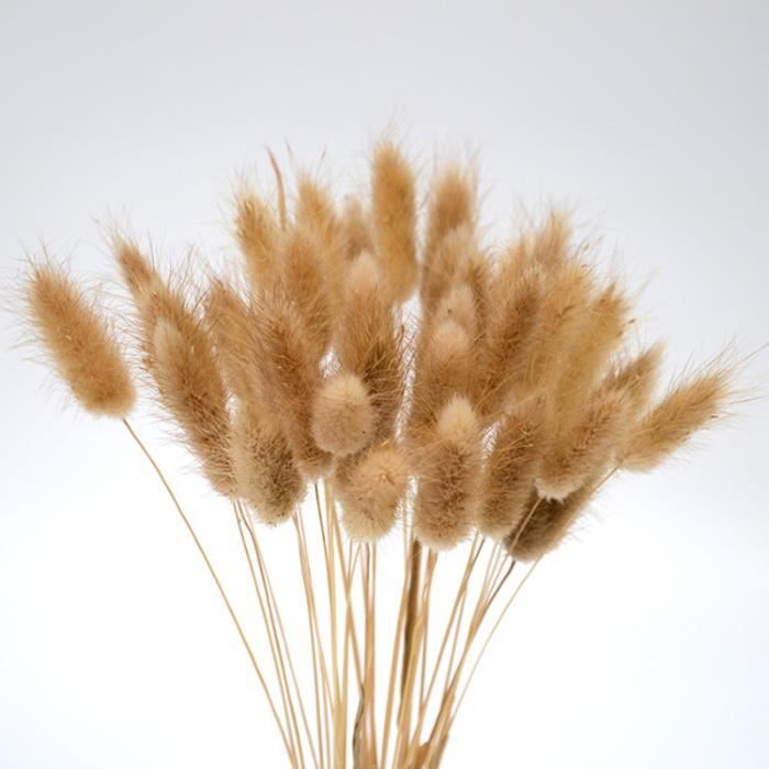 60 Bouquets D'herbe De Pampa Séchée – Décoration Naturelle Pour Intérieur - 12
