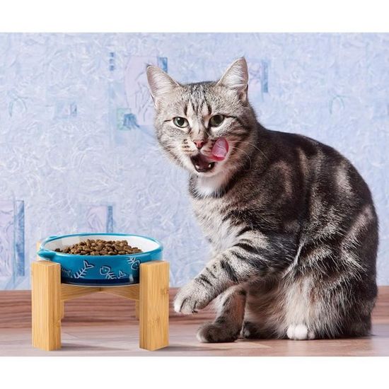 Yangbagagamelle Pour Chats Avec Support En Bambou Bol Alimentaire Pour Chat Ensemble Bol En Ceramique Couleur Bleu Cdiscount Yangbagagamelle Pour Chats Avec Support En Bambou Bol Alimentaire Pour Chat Ensemble Bol En Ceramique Couleur Bleu Cdiscount