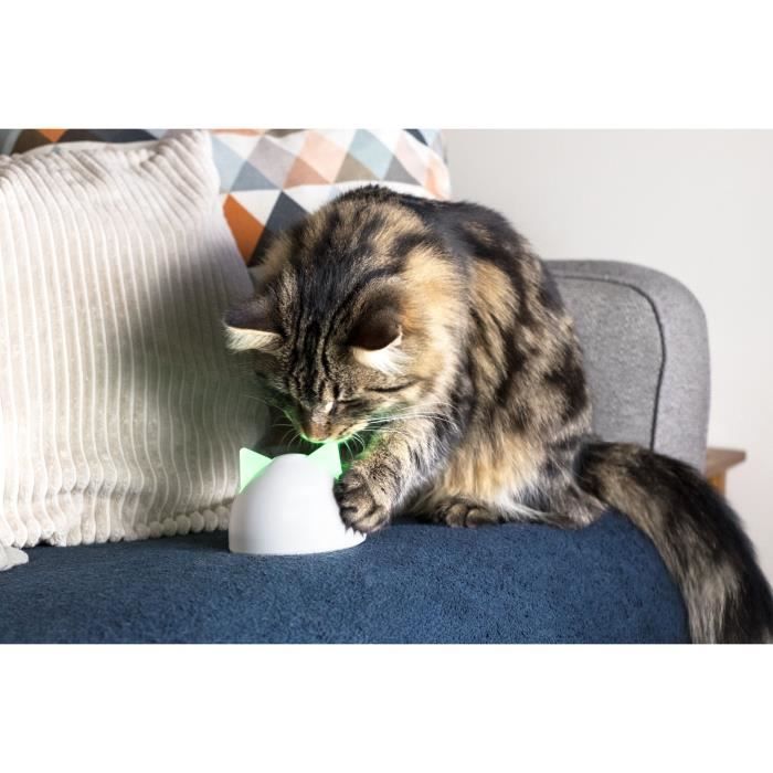 Sure sale petcare hub
