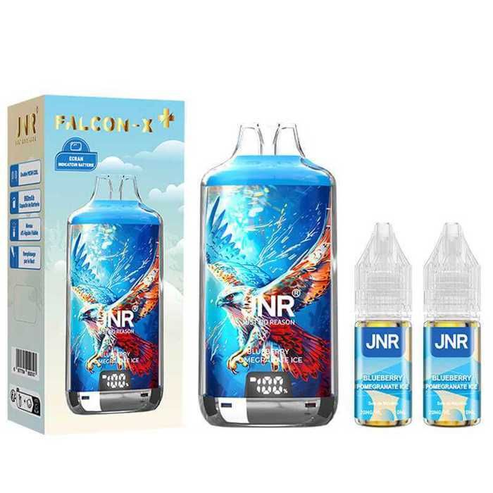 JNR - Kit Blueberry Pomegranate Ice 28000 puffs 2X10ml - Falcon-X -  Cdiscount Au quotidien