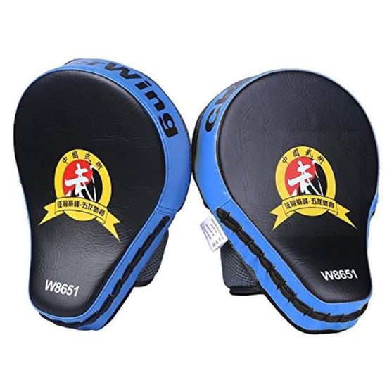 Pack Ring Kit Mural Mma IP37X 1 paire Target MMA Boxing Mitt Focus