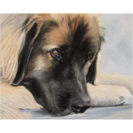 Diamond Painting Animaux Chien Shih Tzu Kit De Broderie Diamant 5D