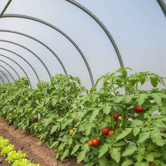 longueur de 11m PEBD 200 microns tr/ès /épais B/âche transparente 6m de large pour serre de jardin 6m x 11m
