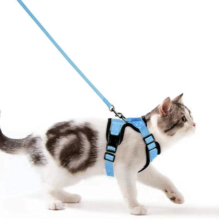 Harnais Et Laisse Pour Chat Anti-évasion – Ajustable, Filet Respirant, Bandes Réfléchissantes – Taille L, Couleur Magenta
