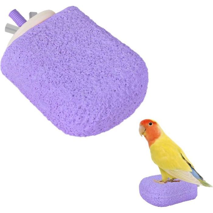 Pierre À Aiguiser Bec Oiseau - Support Antidérapant Perchoir - Modelage Glace Perruches Calopsittes Conures