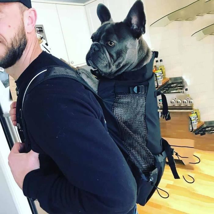 Grand sac dos pour animaux de compagnie chien chats sac de