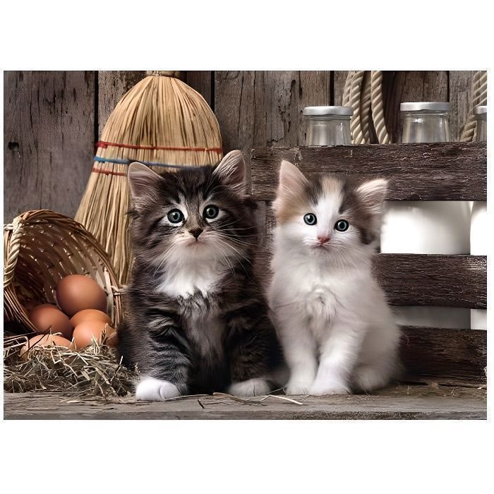 Puzzle Adulte 1000 Pieces : 2 Mignons Petits Chatons - Collection Animaux - Chat - Clementoni