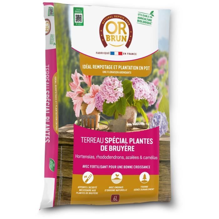 Terreau spécial plantes de bruyère OR OBRTBRU6U Meilleur enracinement