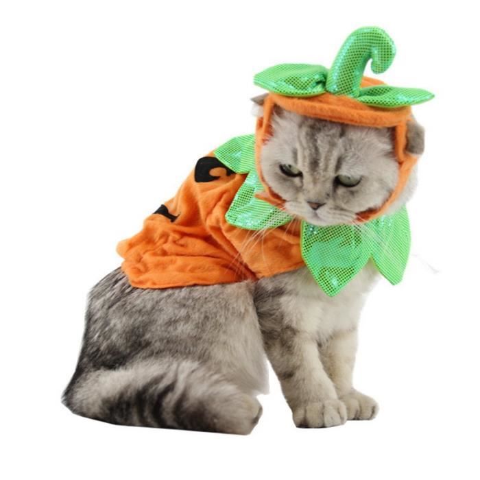 Halloween Fournitures Pour Animaux Chapeau De Chien D Usine Set De Citrouille Citrouille Festival Halloween Chat Bijoux Vetements Achat Vente Casquette Snood Halloween Fournitures Pour Cdiscount