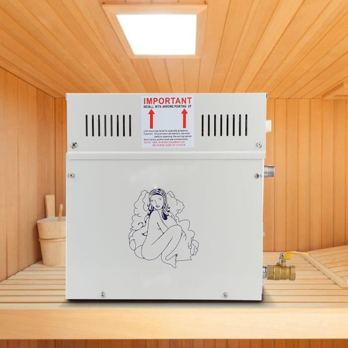 Équipement de chauffage de bain de vapeur, générateur de vapeur de sauna de douche de générateur de vapeur de 4.5KW 220V pour