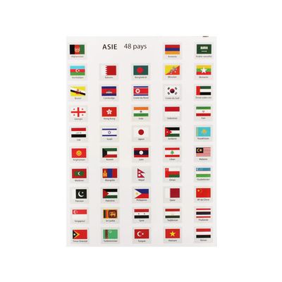 Gommettes Drapeaux Des 5 Continents - 214 Autocollants - 1,6 X 1,8 Cm - MegaCrea - Loisirs Créatifs Enfants