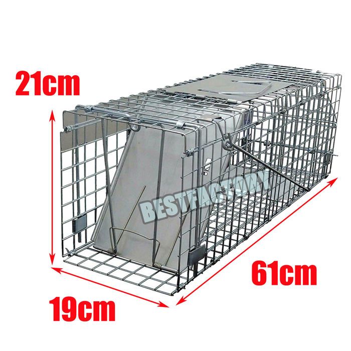 Piège de Capture, Cage Réutilisable Piège à Rats pour Attraper Les Souris  et Autres Rongeurs de Taille Similaire - 61x19x21cm