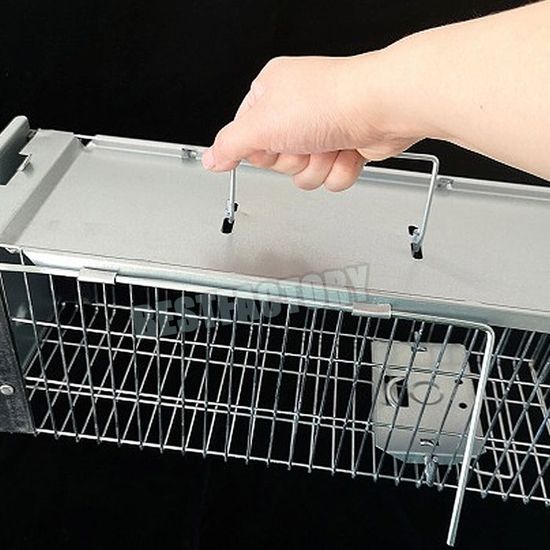 3 Pièces Piège à Rats Cage Réutilisable - Piège Vivant Multi-Catch Pour Souris Et Rongeurs