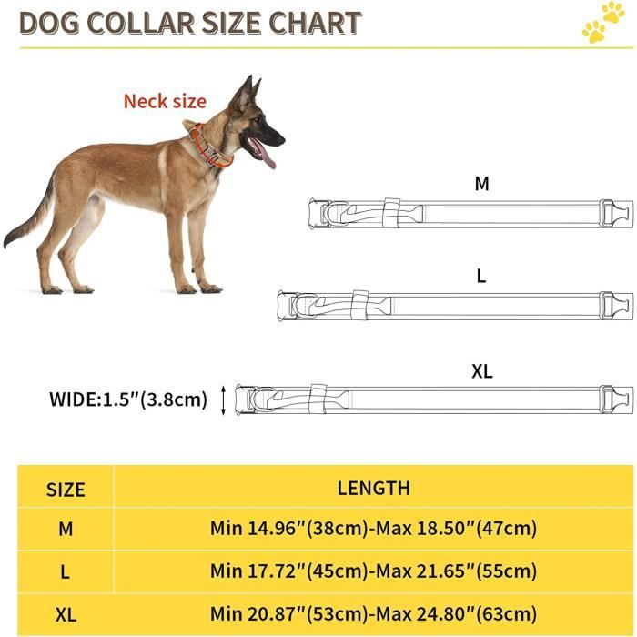 Collier Tactique pour chien - 3,8cm - Noir