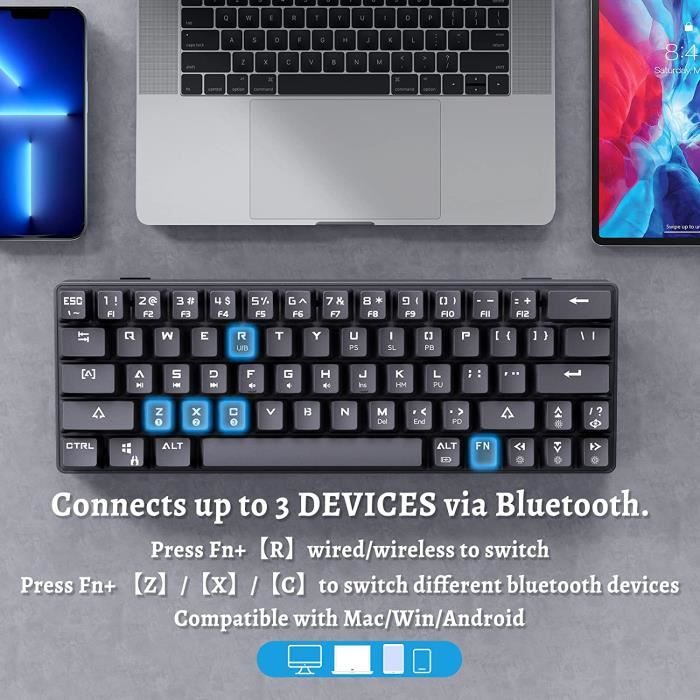 Dierya Clavier de jeu, clavier mécanique RVB 60 % avec commutateur à clicky  bleu, ultra compact Mini 61 touches, anti-ghosting, câble de données de  type C, disposition US pour PC Windows Gamer Typist : : Jeux  vidéo