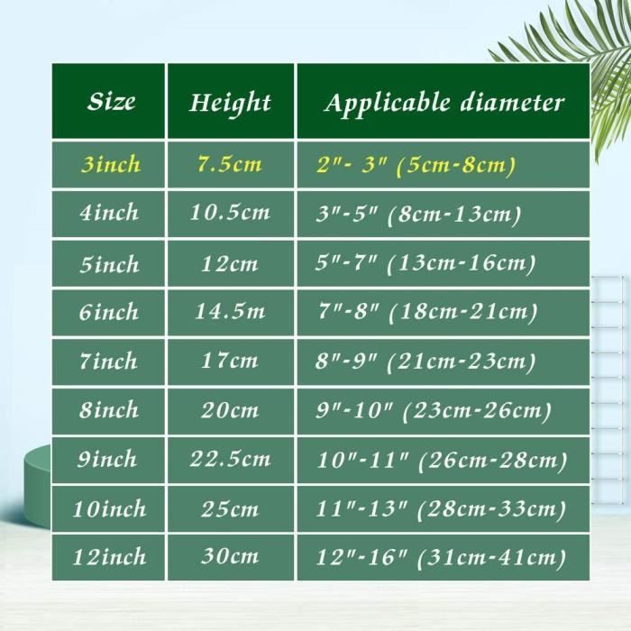 Lot De 8 Supports Réglables En Acrylique Transparent – Présentoirs Pour Livres, BD, Magazines, CD, Cartes Postales & Photos (11,2 × 10,5 × 6 Cm)