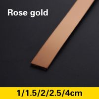 Bandes de bord décoratives de 5 mètres, bande de carreaux muraux de fond en acier inoxydable pour salon,  Rose gold-2cm -AC