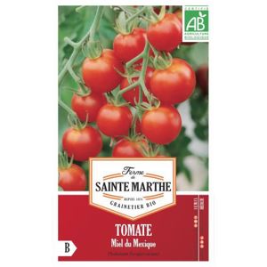 GRAINE - SEMENCE Graines bio de tomates Cerise Miel du Mexique - FE
