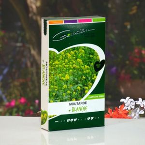 Engrais Vert - Green Manure 500 grammes Trifolium Pratense Trèfle Violet Bio Salino - SEM06 Red Clover - 