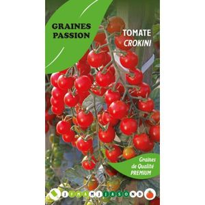 GRAINE - SEMENCE Graines passion, sachet de graines Tomate Crokini