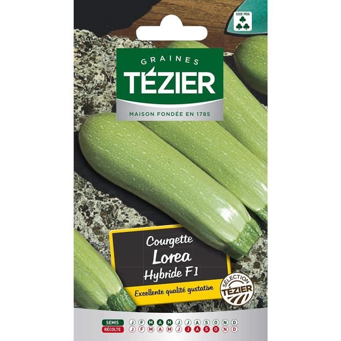 Sachet Graines - Tezier - Courgette Lorea HF1 sélection Tézier - Sachet légume petit modèle - (Mois de semis de 3 à 5)