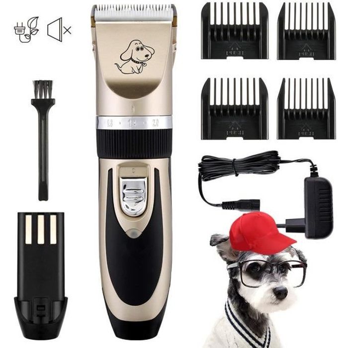 Tondeuse Chien Professionnelle Charge Rapide Tondeuse Chat Persan Silencieuse Tondeuse Animaux Rechargeable Sans Fil Pour Poil Long Cdiscount