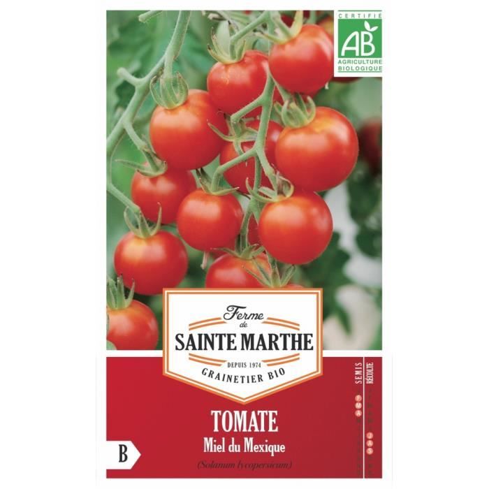 Graines bio de tomates Cerise Miel du Mexique