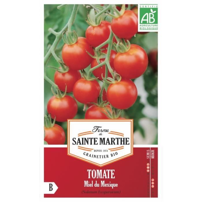 Graines bio de tomates Cerise Miel du Mexique - FERME DE SAINTE MARTHE - Graine - Légumes - Marron