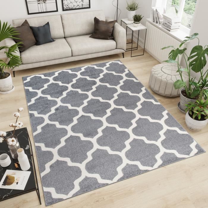 Tapiso Maroko Tapis De Salon Design Moderne Gris Crème Marocain 300 X 400 Cm