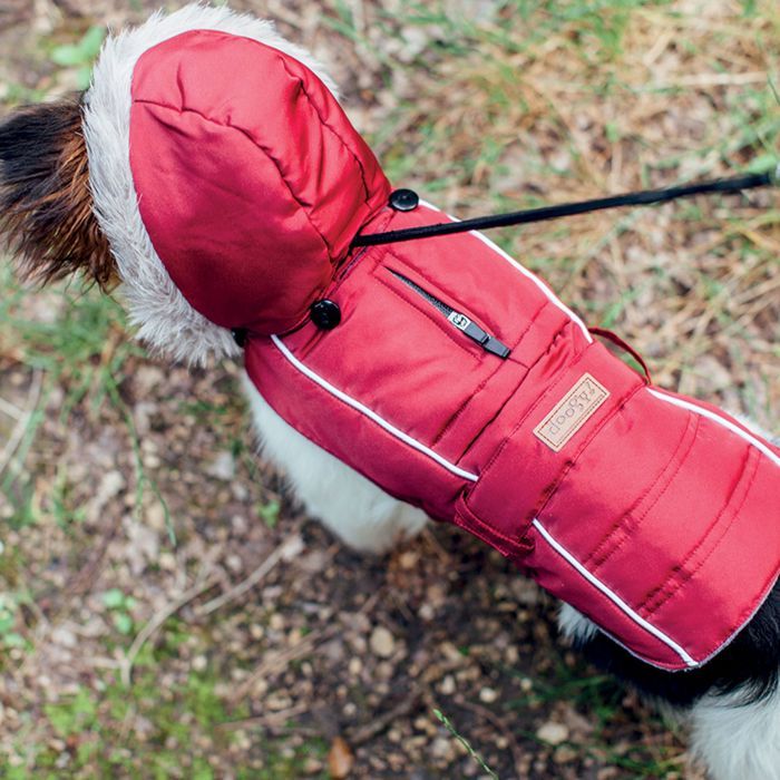 Comparer les prix de Doudoune Softy Rouge Taille 36