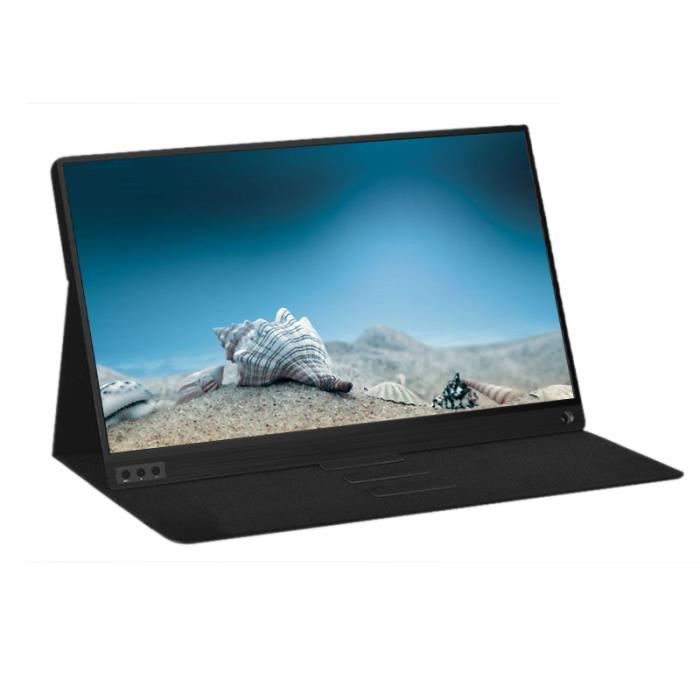 P15A Moniteur Portable 1920X1080 HD IPS Moniteur