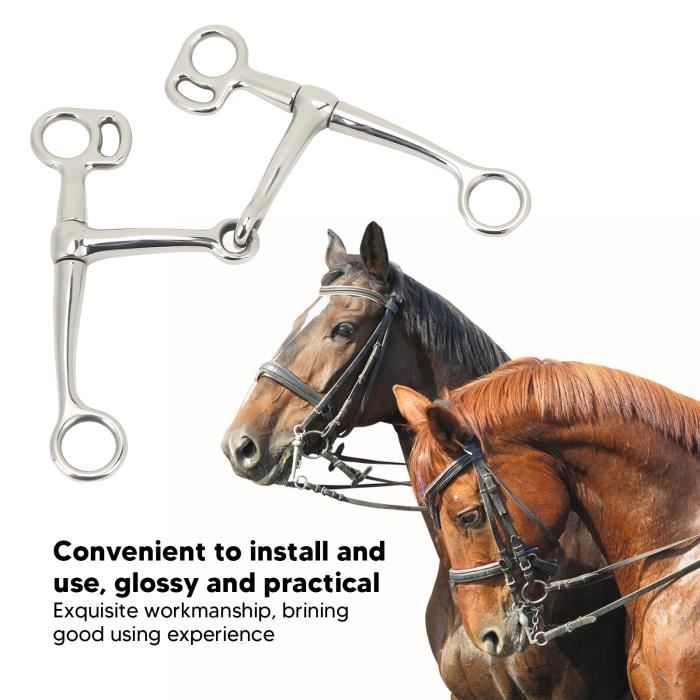 Mors Simple Aiguille 9,5 cm en Acier Inoxydable pour Cheval