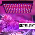 Lampe de culture de plantes LED Spectre Complet VGEBY 240W pour Plantes en Serre Intérieure-1