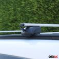Barres de toit Transversales pour Dacia Lodgy 2012-2024 Fer Argent TÜV ABE-2