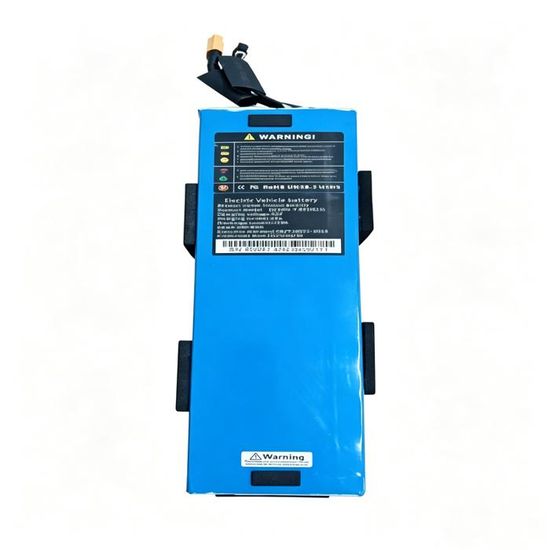 Batterie Vélo électrique HANERIDE 36 V 13,2 Ah – Compatible Zündapp, Kalkhoff, Telefunken, Etc.