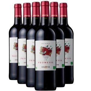 VIN ROUGE Vignobles Dourthe Côtes de Bourg Promesse Rouge 20