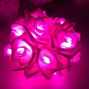 Guirlande LED Fil de Fer Rose à Piles 5m/10m - Ledkia