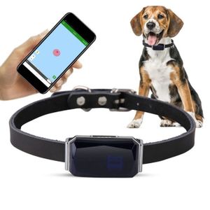Collier,Localisateur GPS pour Apple Airtag,étanche,lumière Led pour collier  de chien,chargeur USB,natation - Black Lamp Bead-33-45cm - Cdiscount