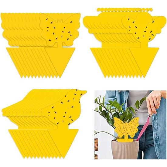 Lot de 8 pièges à mouches jetables pour le sauvetage des mouches avec Lot de 8 pièges à mouches jetables pour le sauvetage des mouches avec