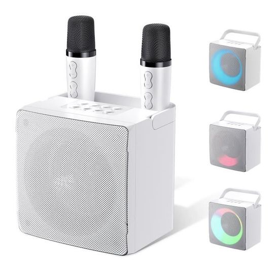 Machine Karaoké ZEELINK KM-10-B – 2 Micros Sans Fil, Bluetooth, Portable