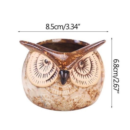 POT DE FLEUR,--Plantes succulentes en forme de hibou, pot de fleurs en