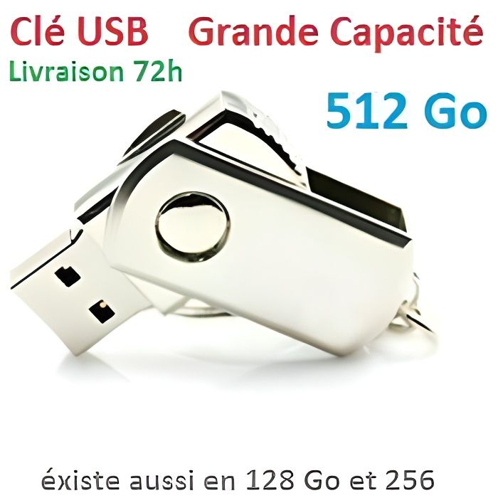 Clé USB FLASH 512 Go