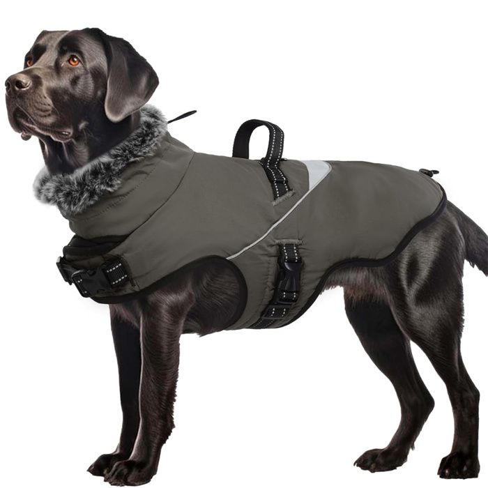 Meilleurs prix pour Manteau pour chien Vestes pour chiens de petite et moyenne taille Manteau imperméable pour chien avec support Airtag pour grand