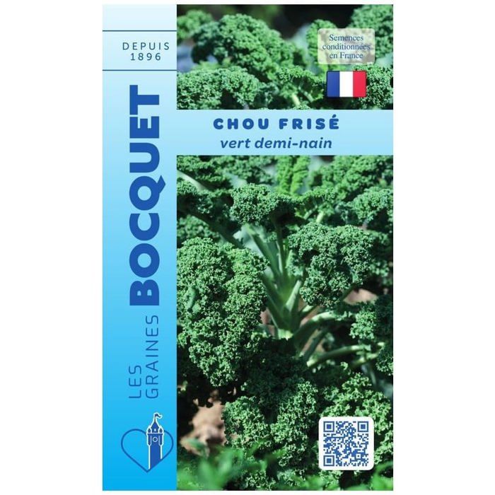 Graine - Semence - Chou frisé vert demi nain - Chou Kale