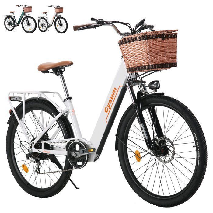 26 Vélo électrique Adulte Urbain Vélo électrique Femmes Classique 250W électrique Ville Ebike Li-batterie 36V 10Ah