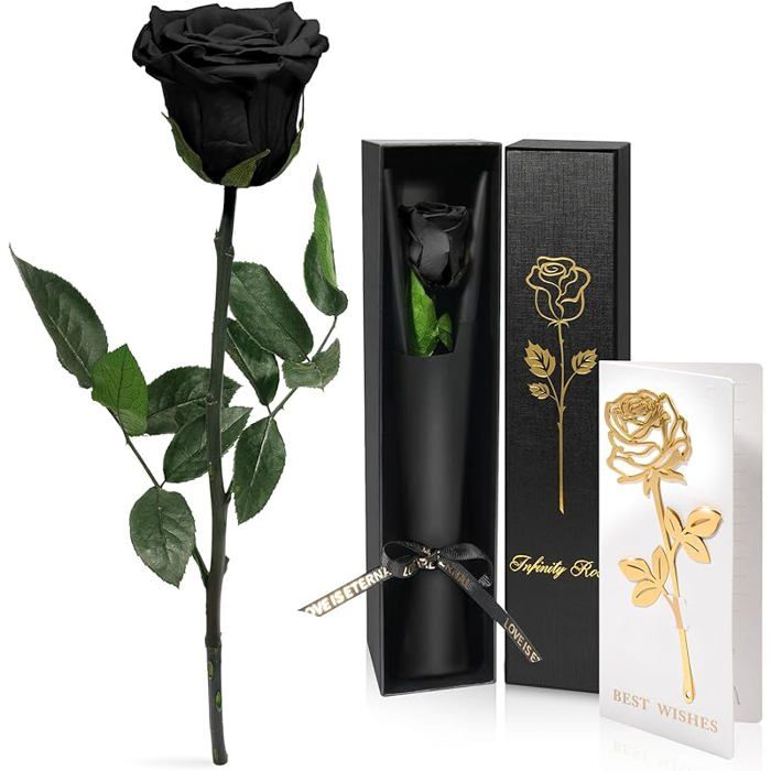 Rose Naturelle Stabilisée Amorosa De Verdissimo - Idée Cadeau élégante